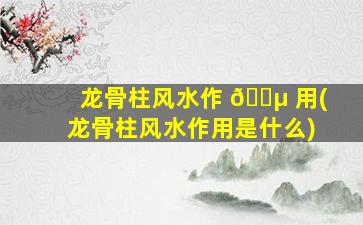 龙骨柱风水作 🌵 用(龙骨柱风水作用是什么)